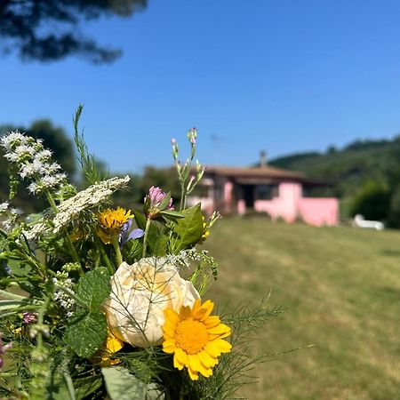Agriturismo Campolungo Sant'Ermo Екстериор снимка