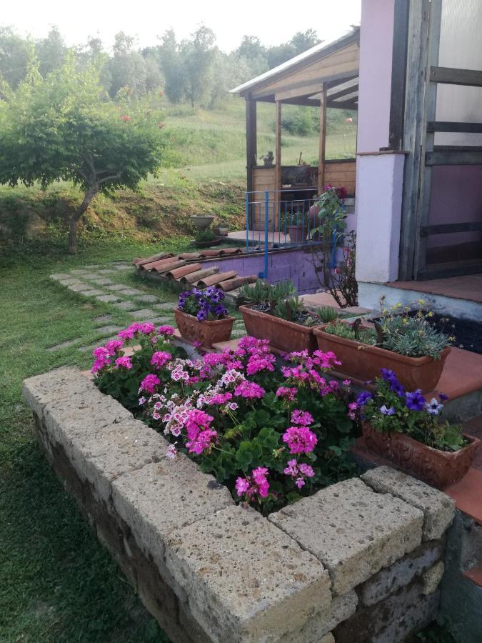 Agriturismo Campolungo Sant'Ermo Екстериор снимка