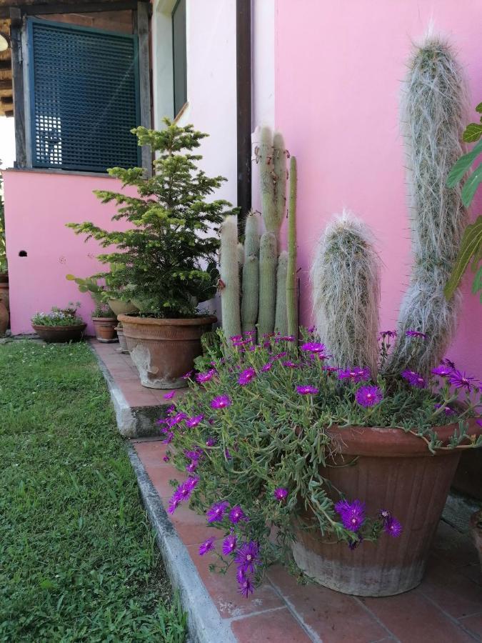 Agriturismo Campolungo Sant'Ermo Екстериор снимка